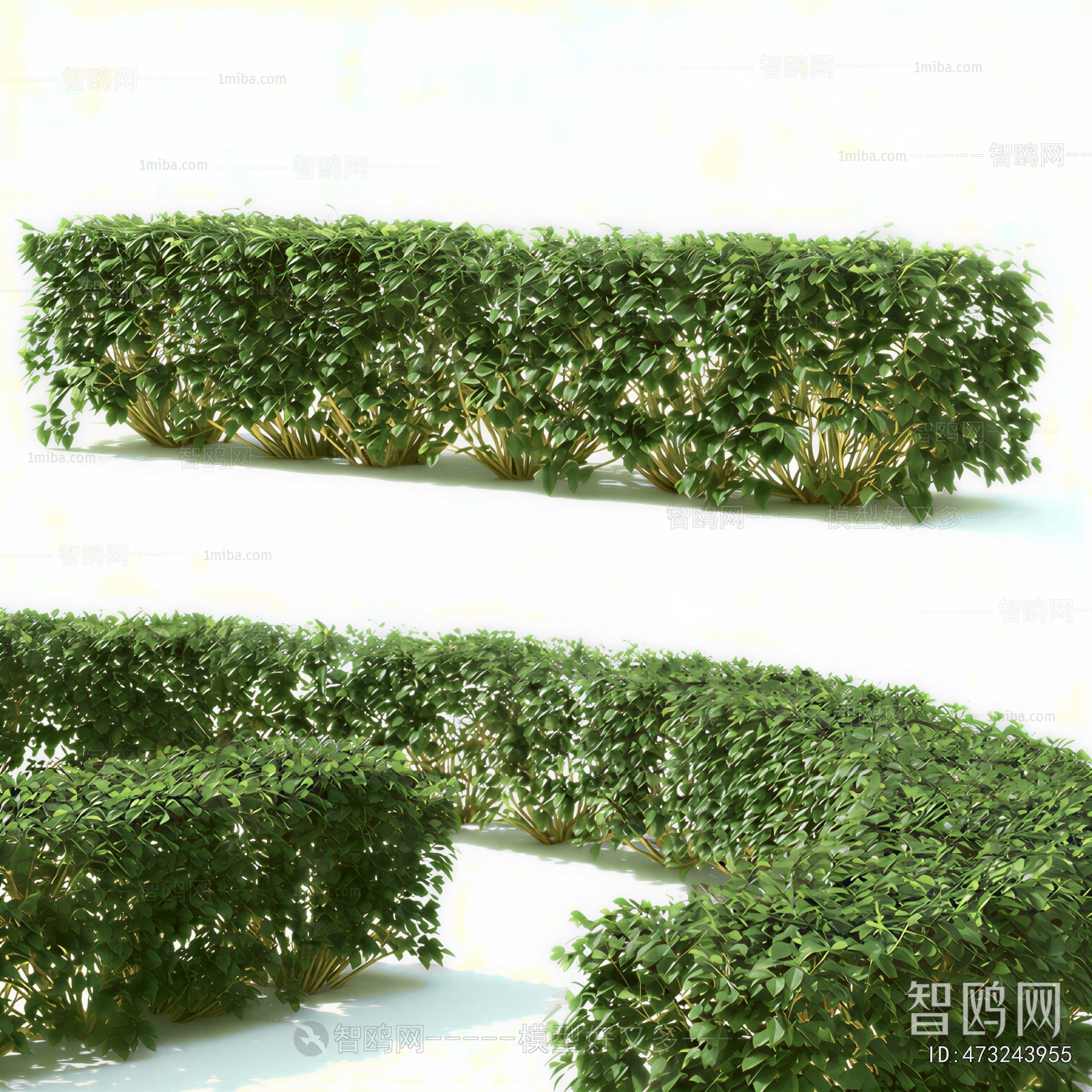 Modern Shrubbery