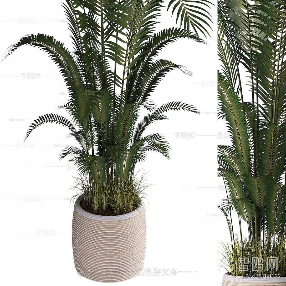 Modern Potted Green Plant
