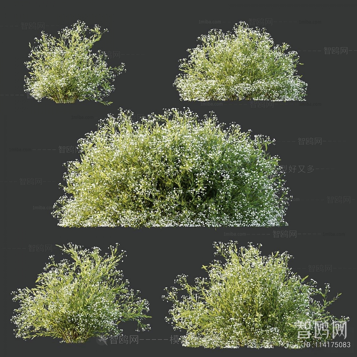 Modern Shrubbery