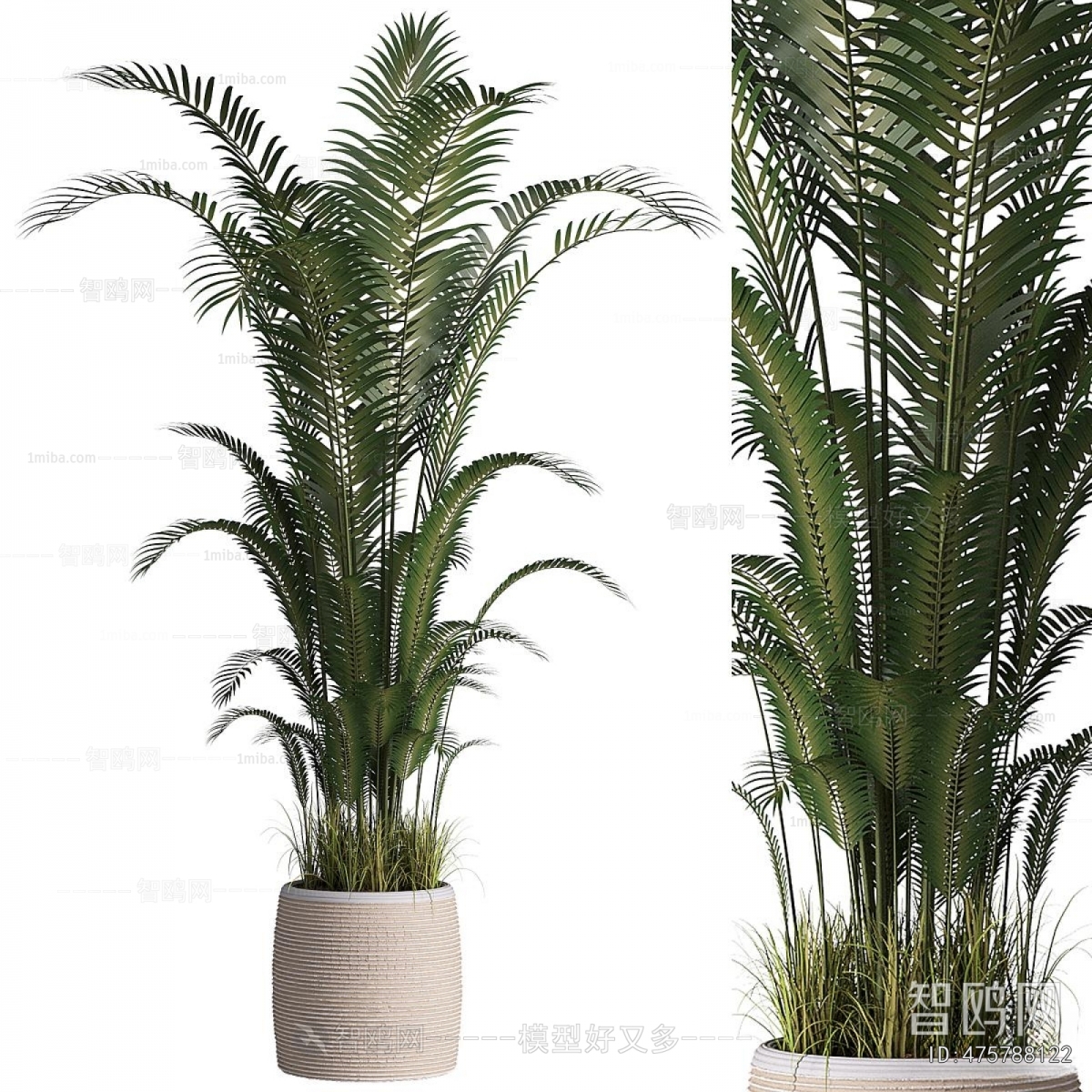Modern Potted Green Plant