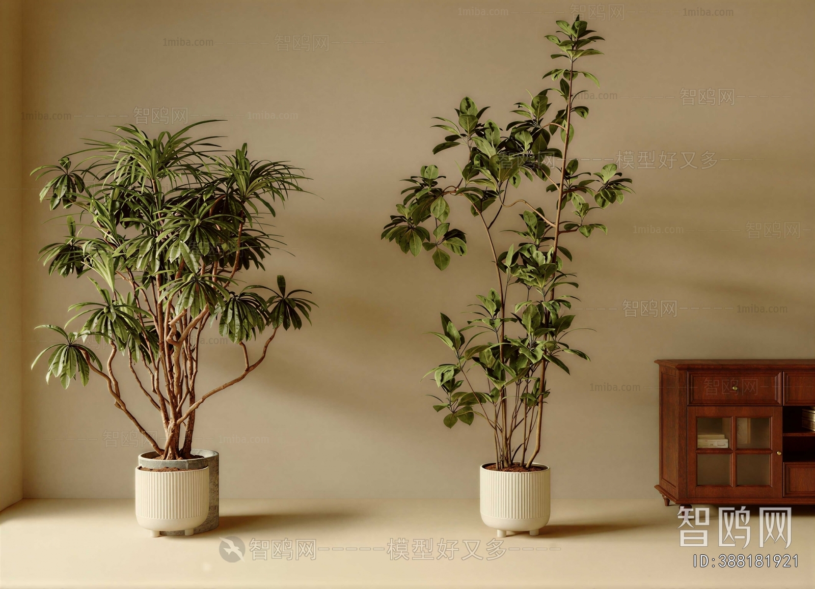 Modern Ground Green Plant Potted Plants