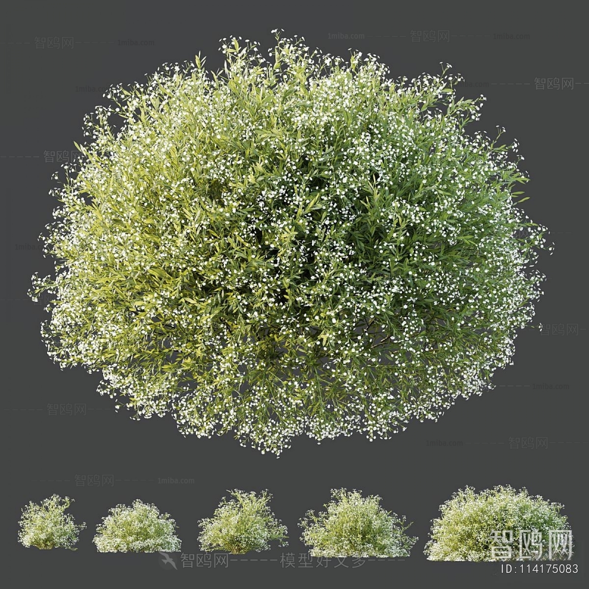Modern Shrubbery
