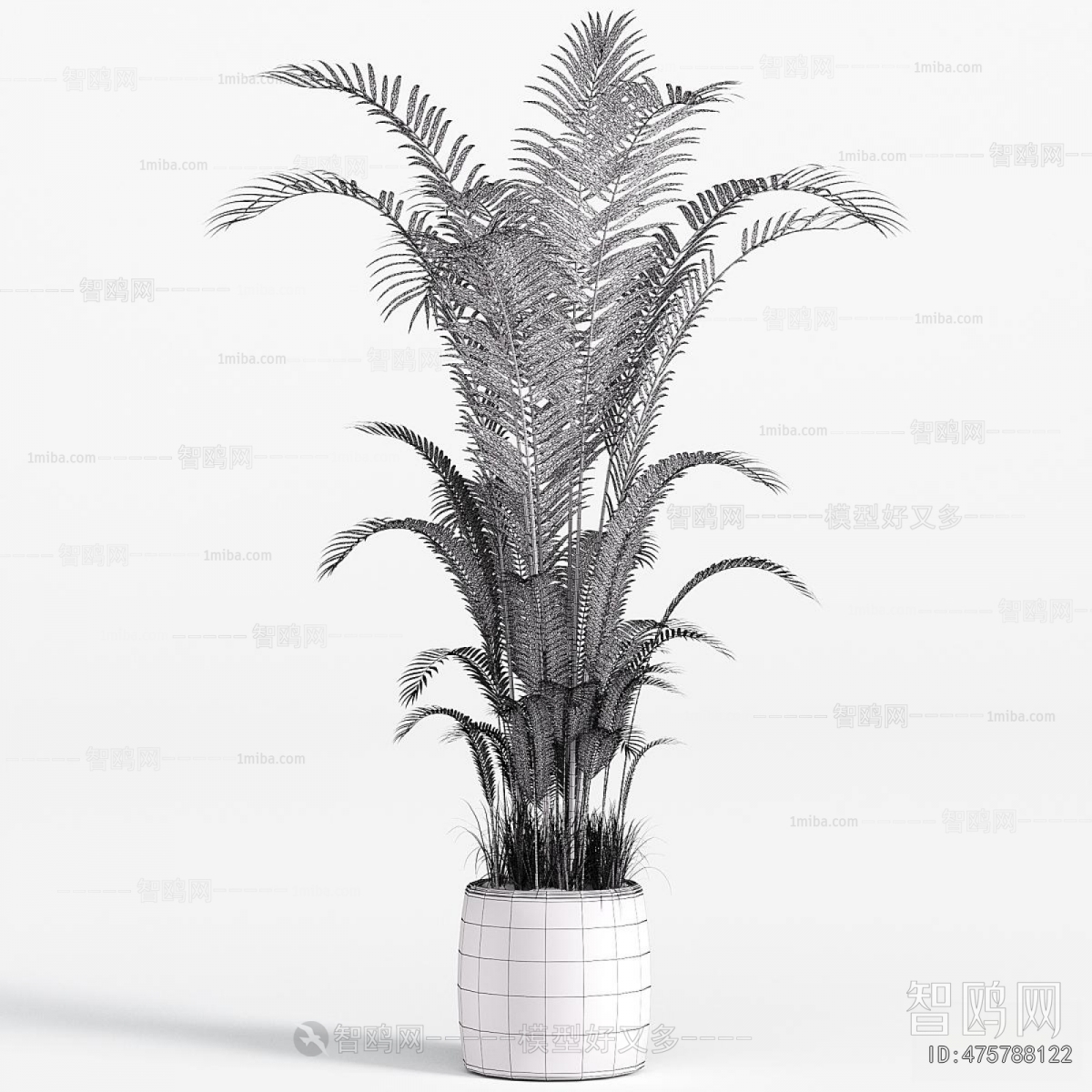 Modern Potted Green Plant