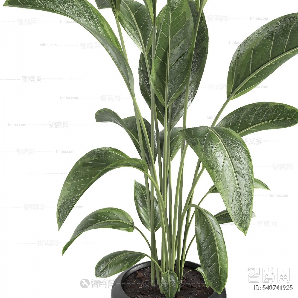 Modern Ground Green Plant Potted Plants