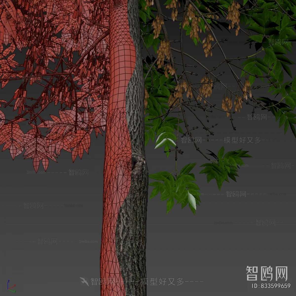 Modern Tree