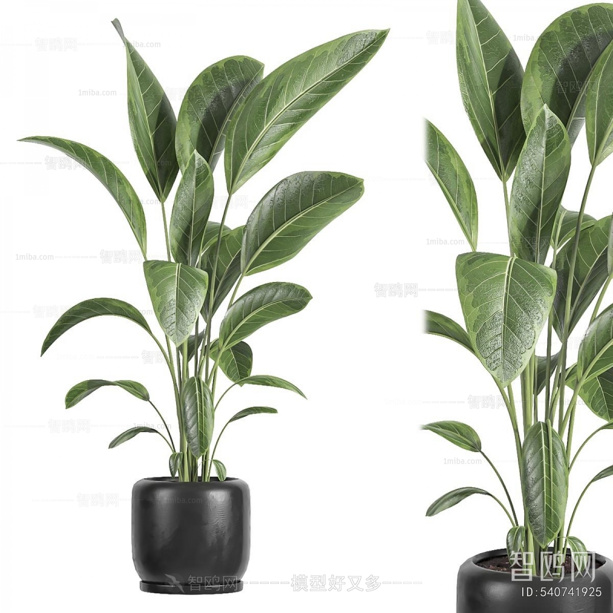 Modern Ground Green Plant Potted Plants