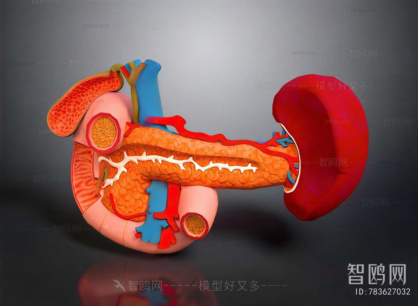 Modern Medical Equipment