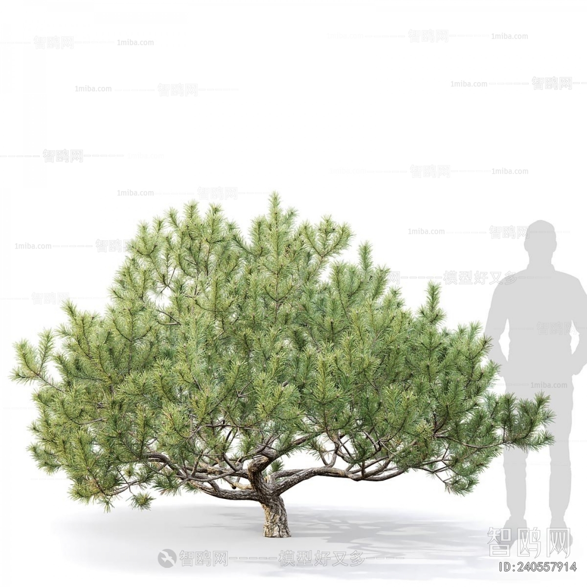 Modern Tree