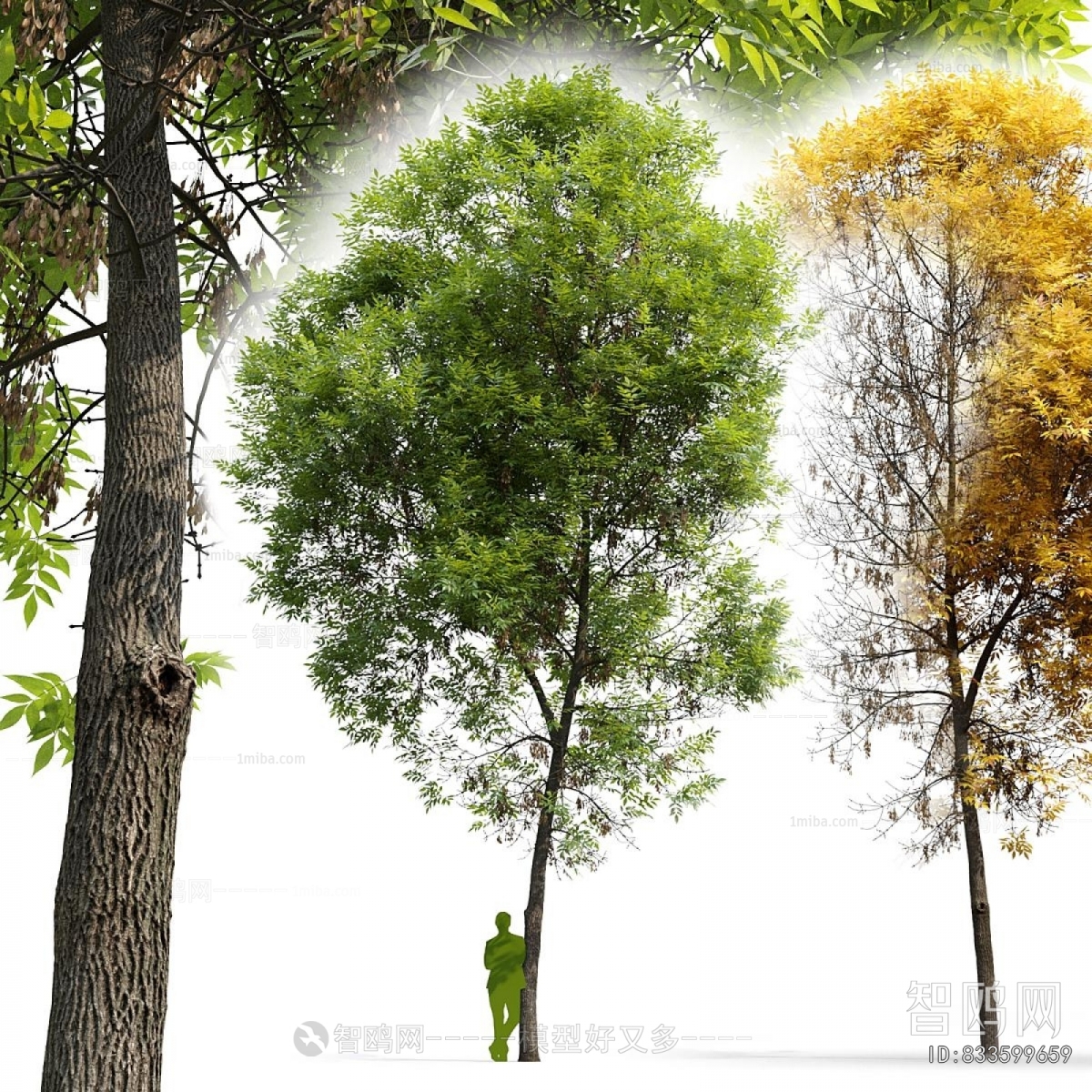 Modern Tree