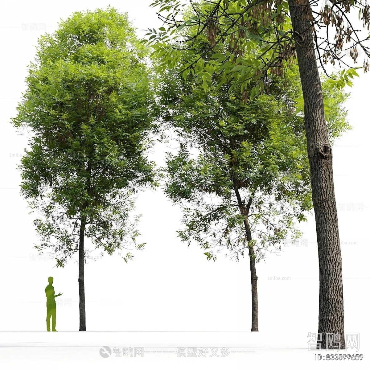 Modern Tree