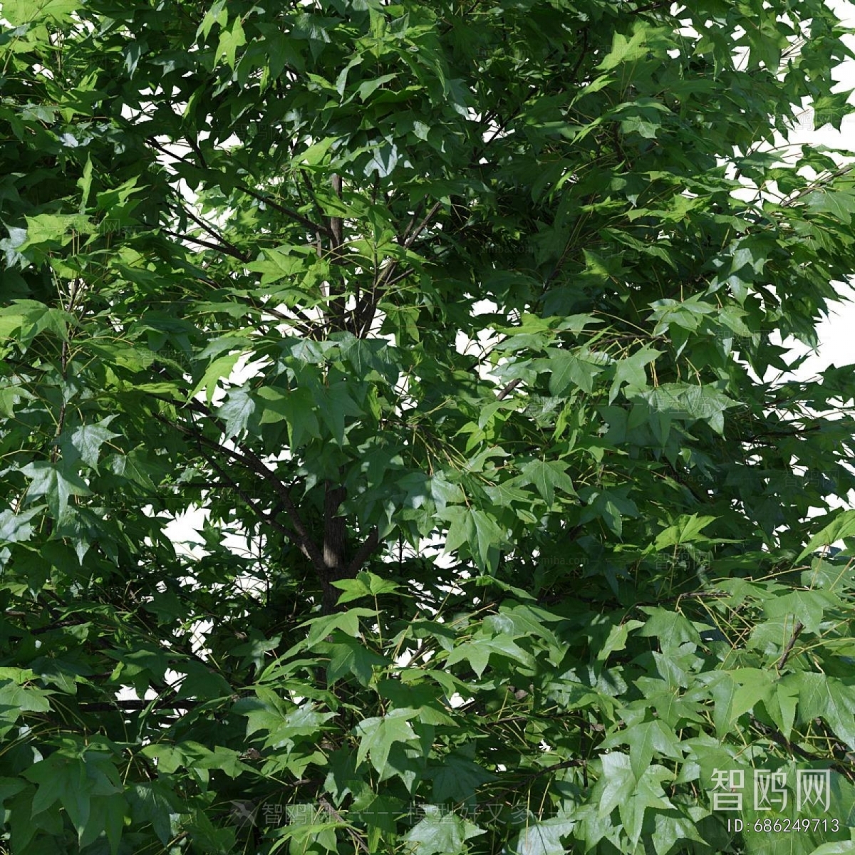 Modern Tree