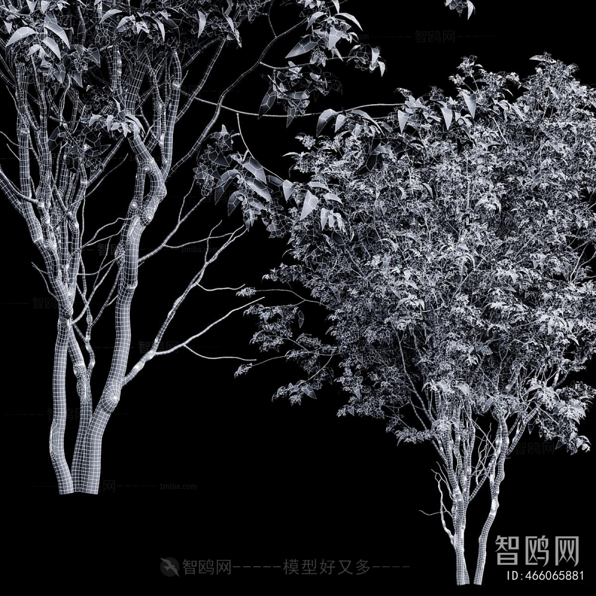 Modern Tree