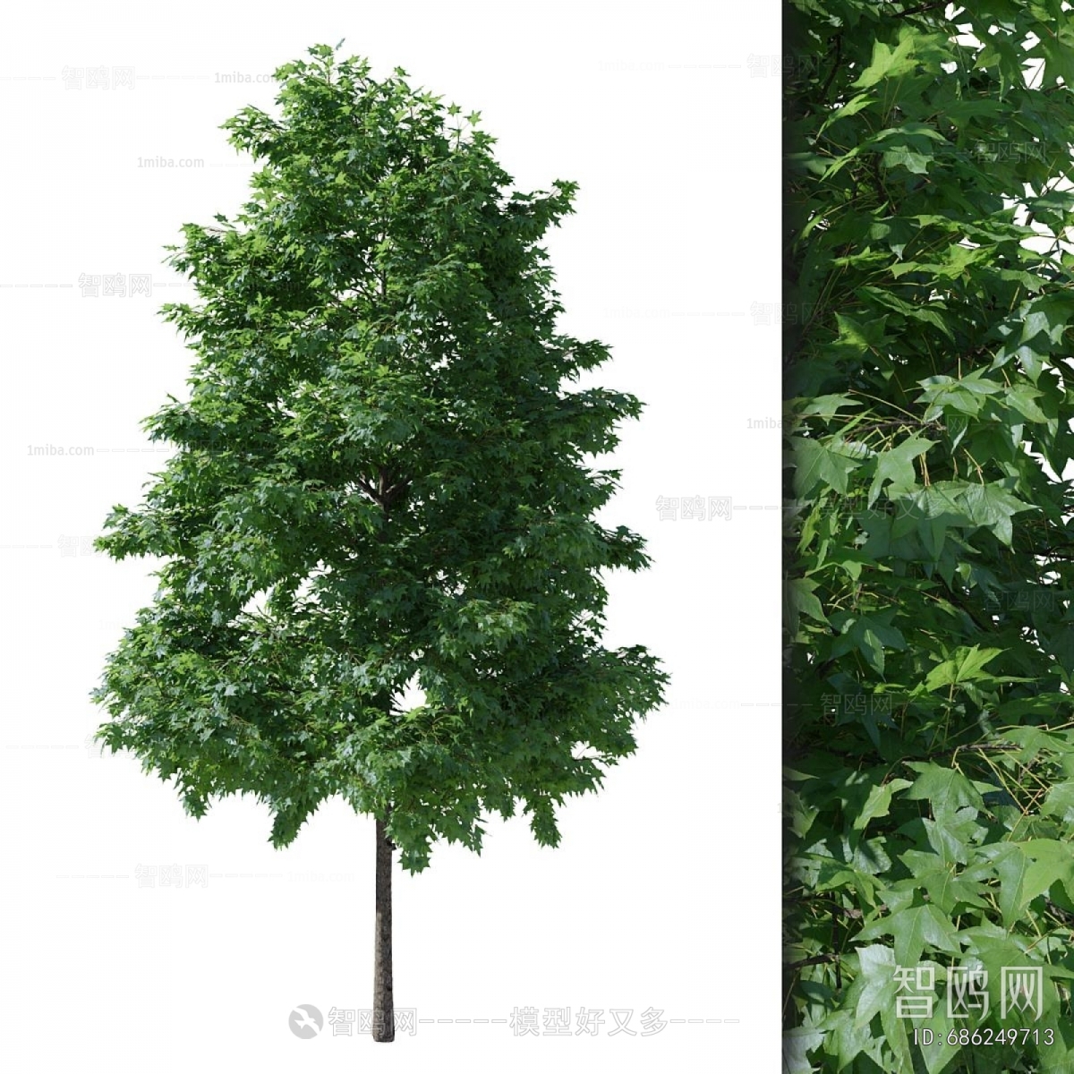 Modern Tree