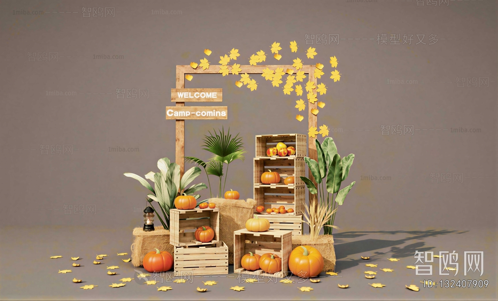 Modern Showcase