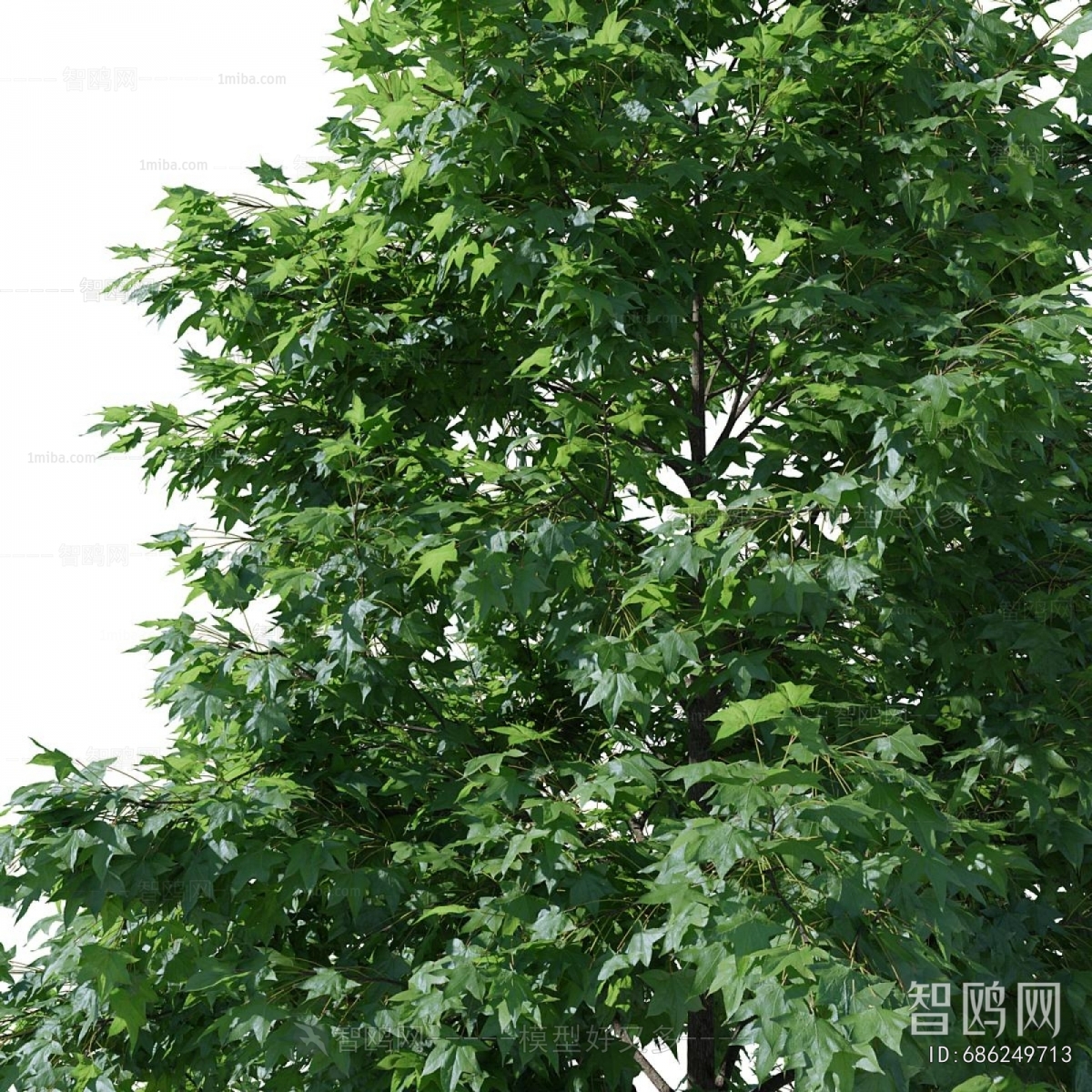 Modern Tree