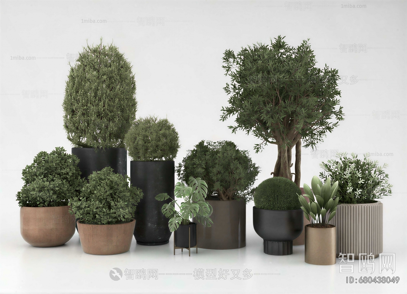 Modern Potted Green Plant
