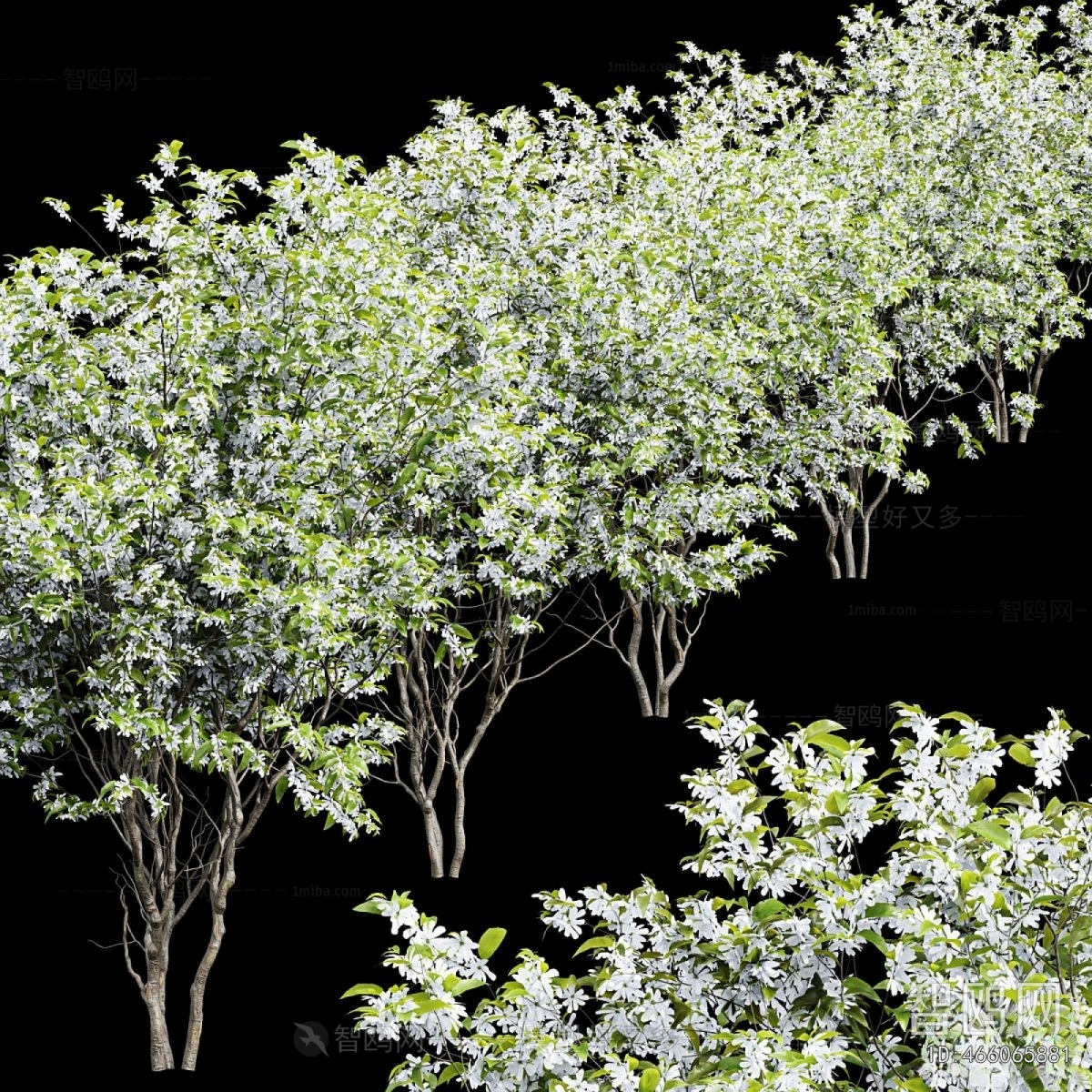 Modern Tree