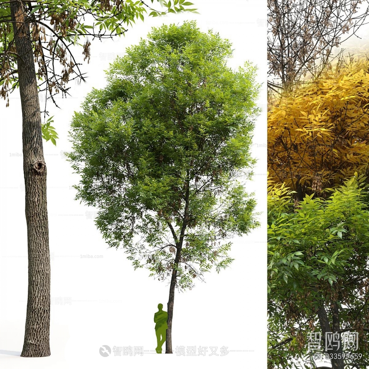 Modern Tree