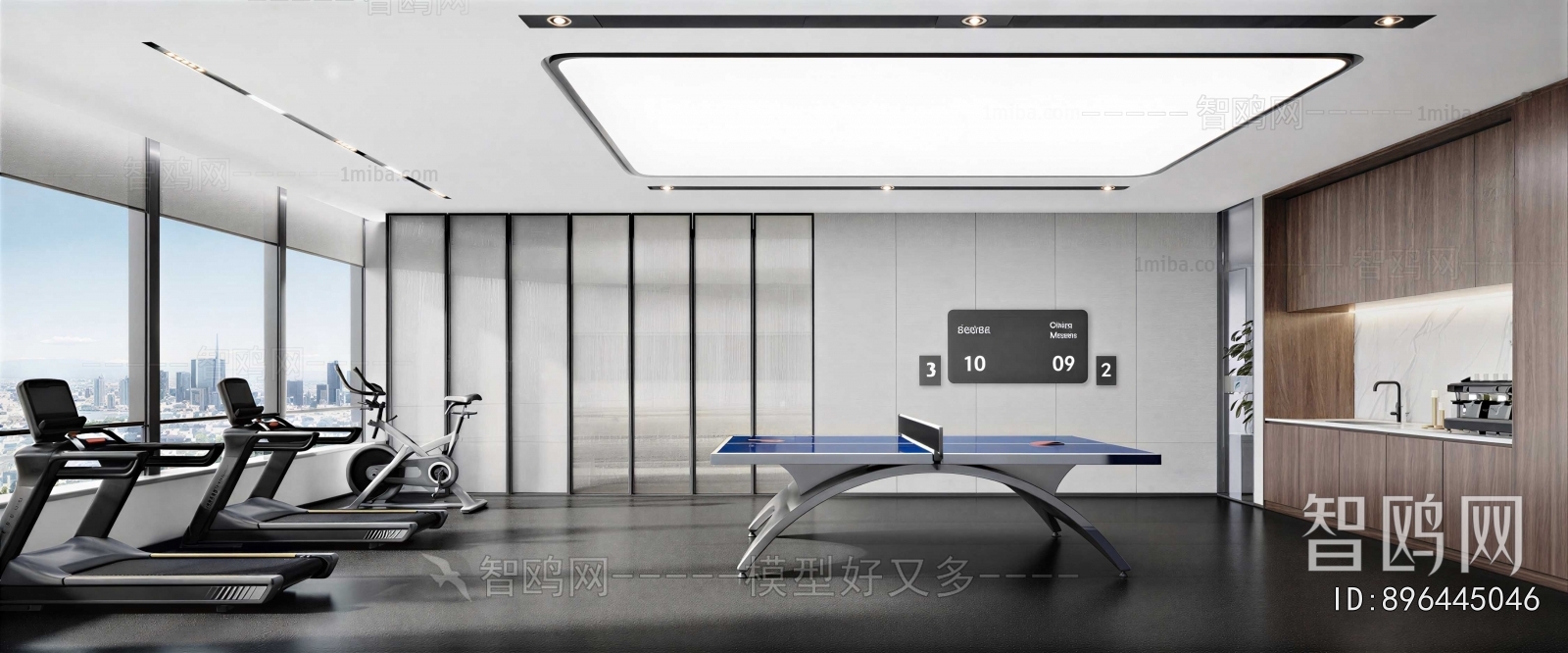 Modern Home Fitness Room