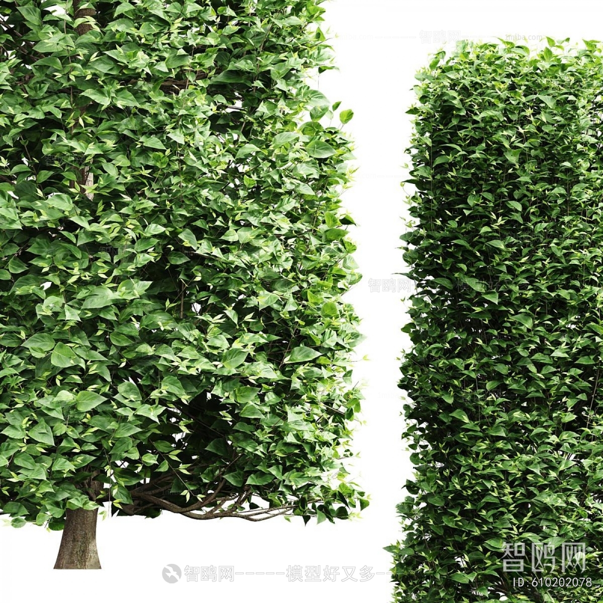 Modern Tree