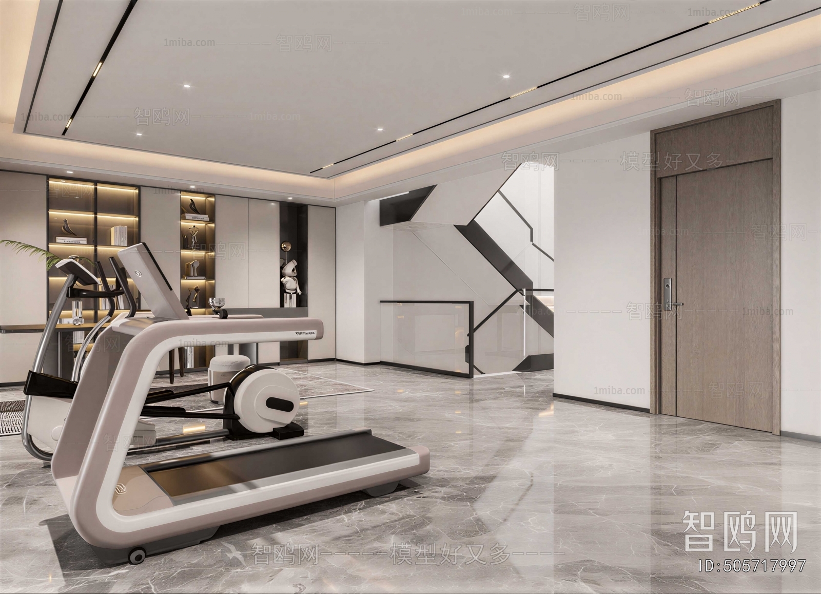 Modern Home Fitness Room