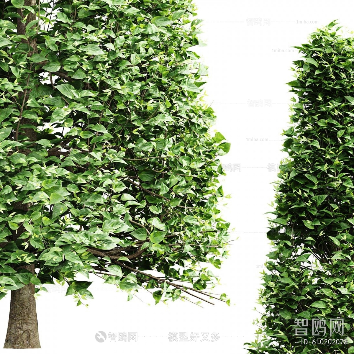 Modern Tree