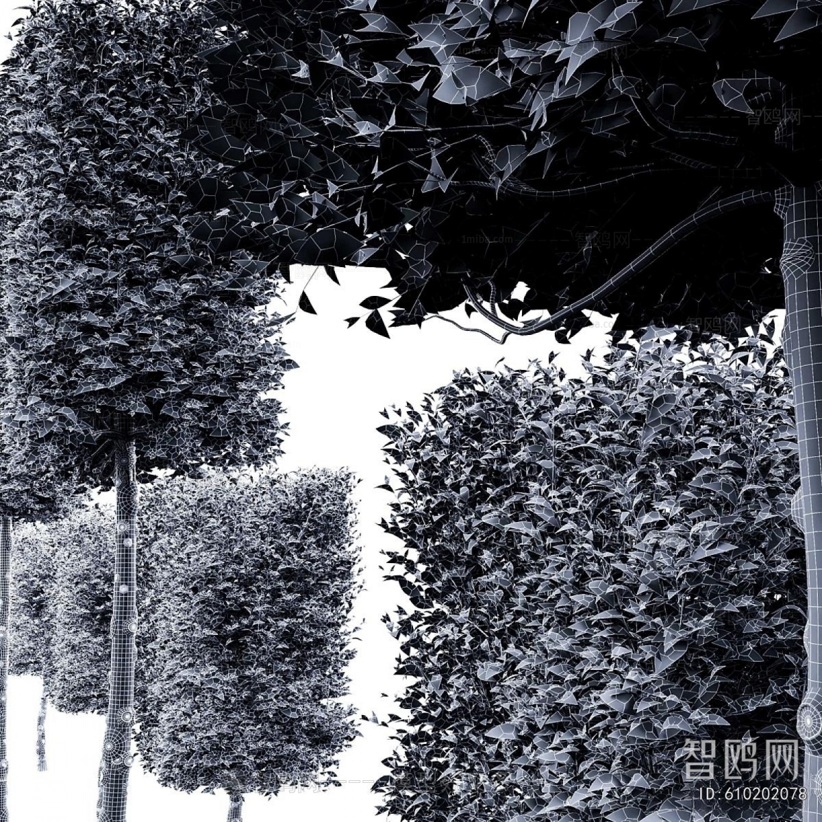 Modern Tree