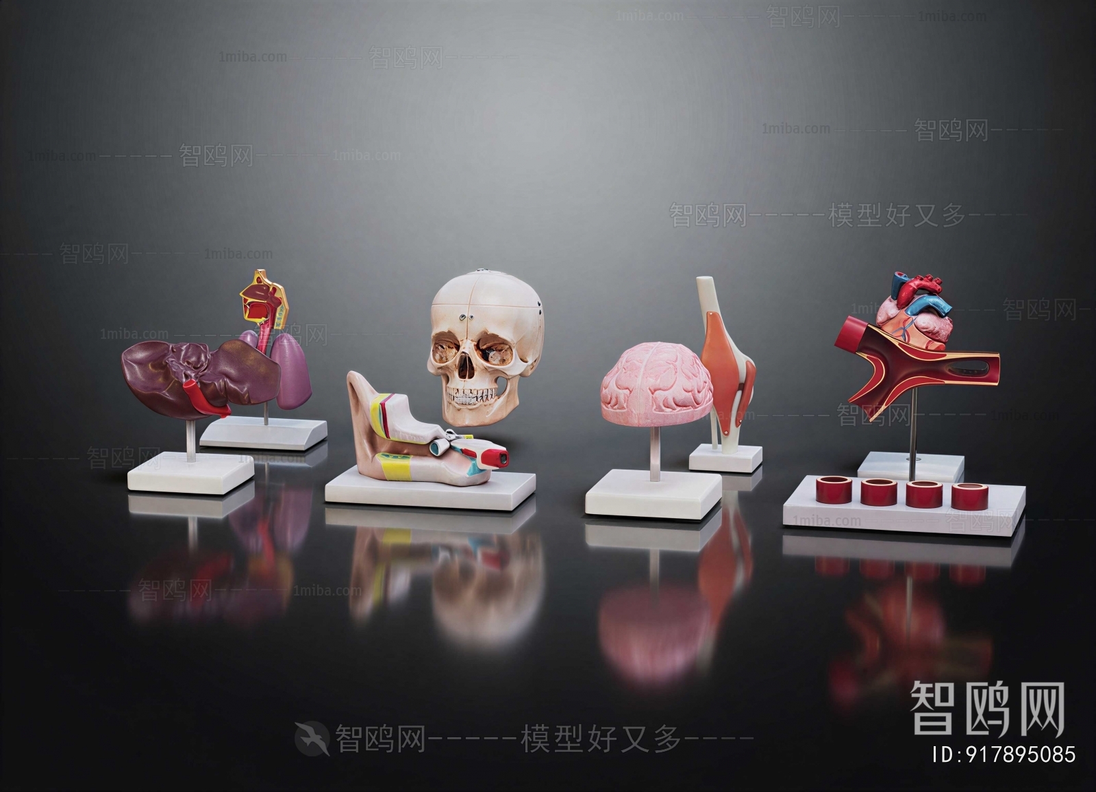 Modern Medical Equipment