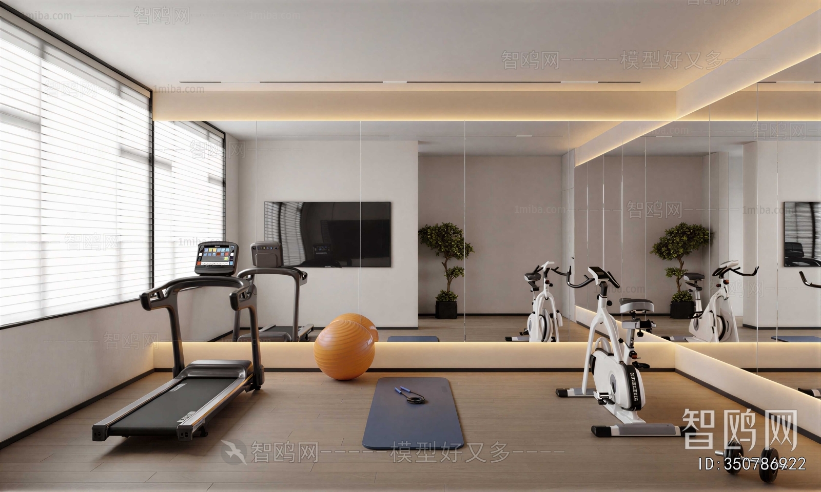 Modern Home Fitness Room