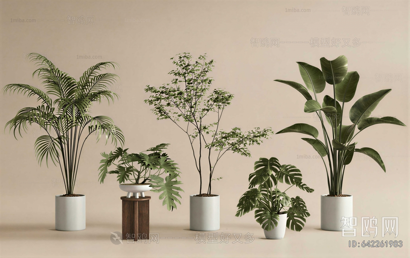Modern Ground Green Plant Potted Plants