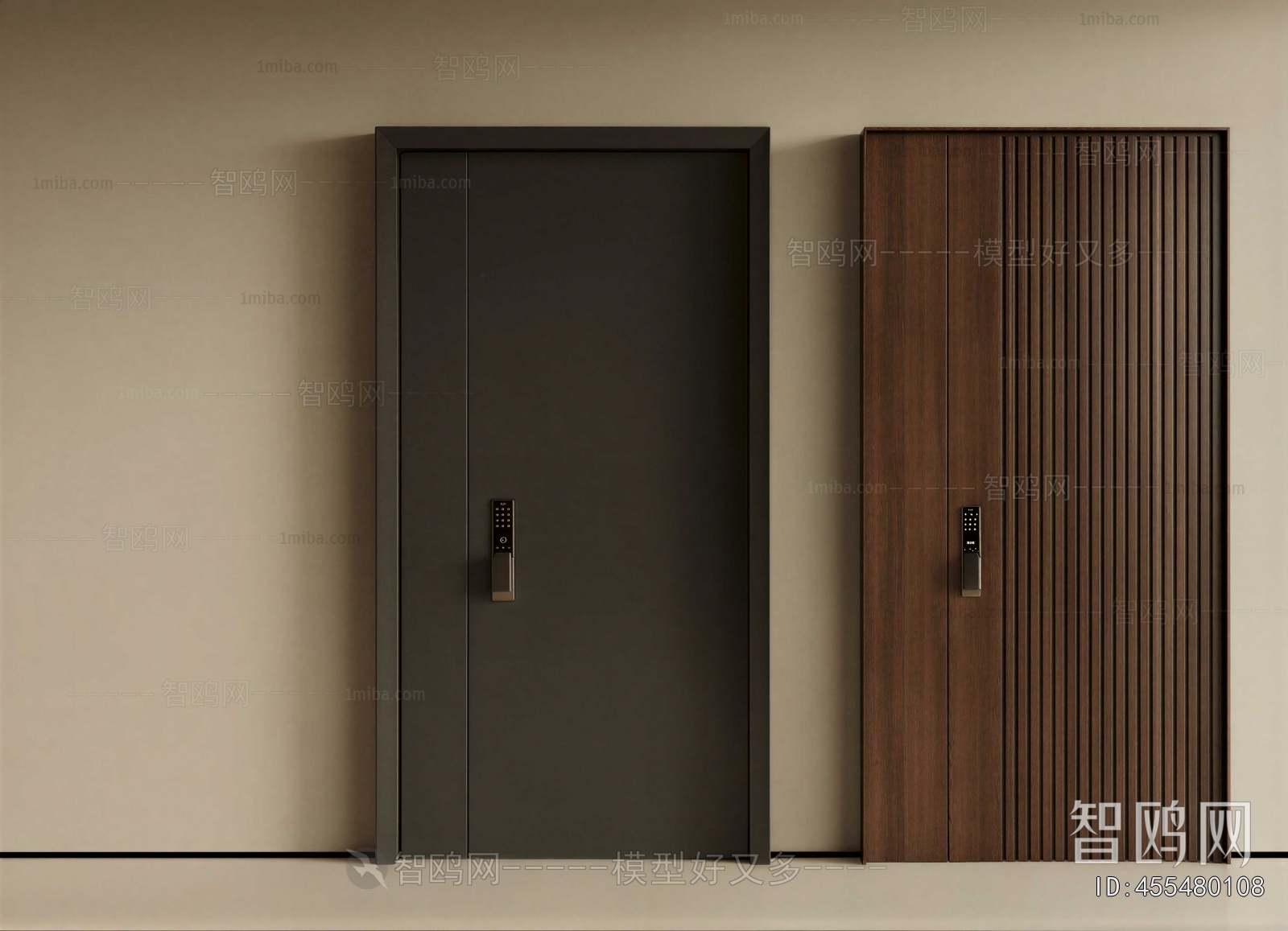 Modern Entrance Door