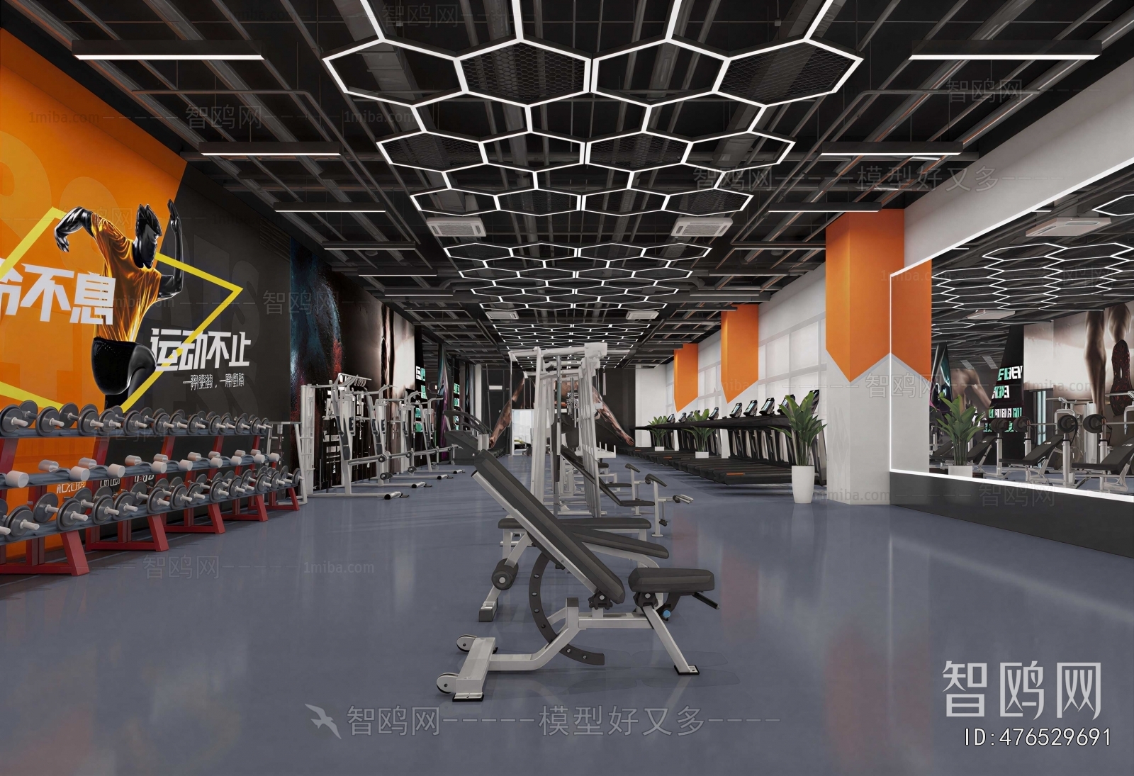 Modern Gym