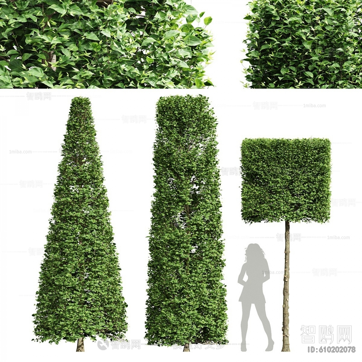 Modern Tree