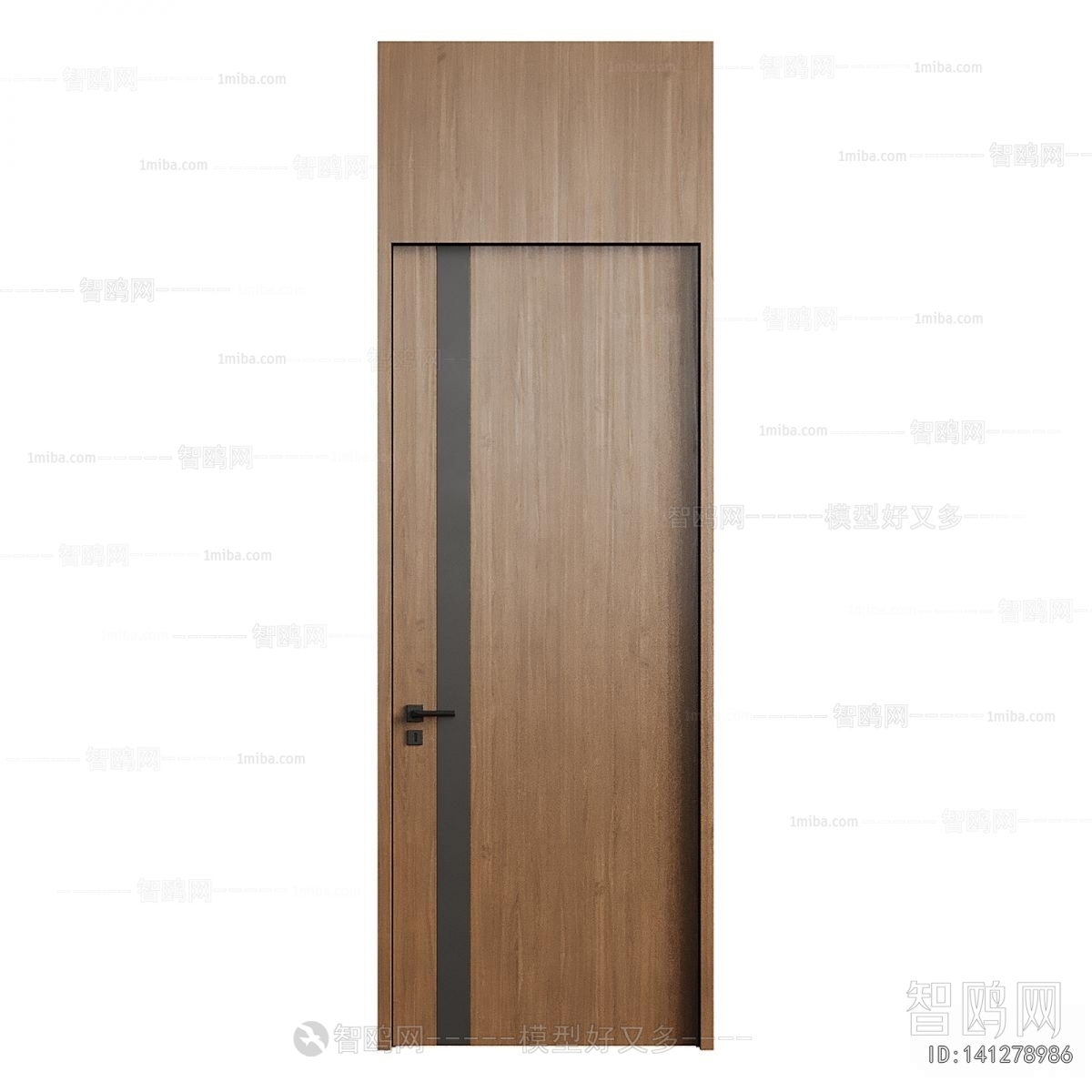 Modern Door