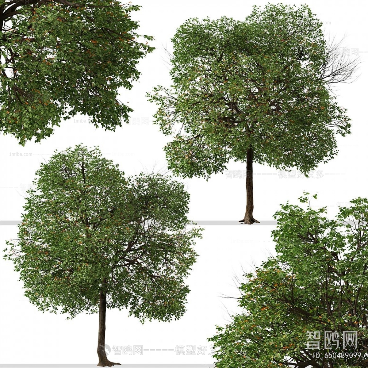 Modern Tree