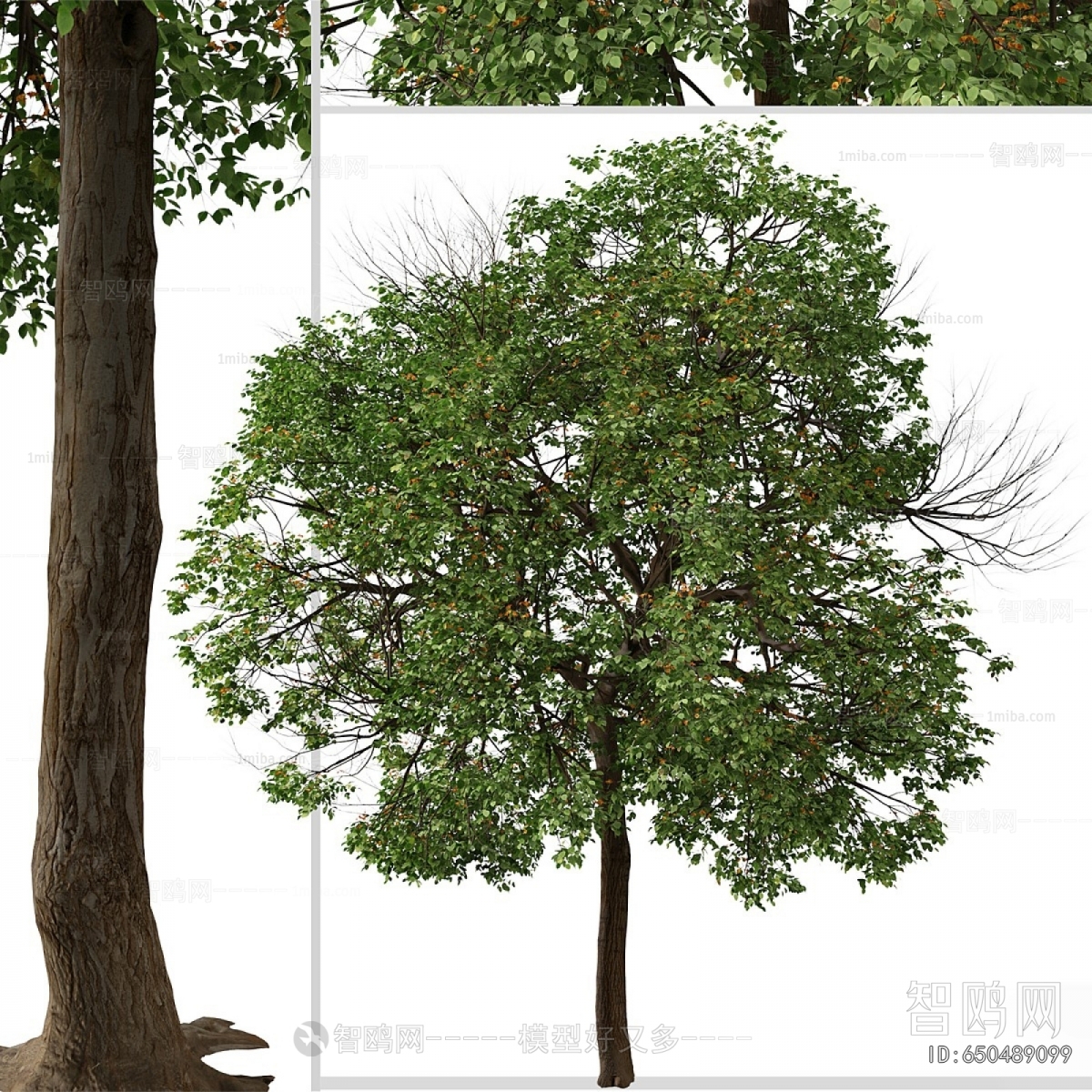 Modern Tree