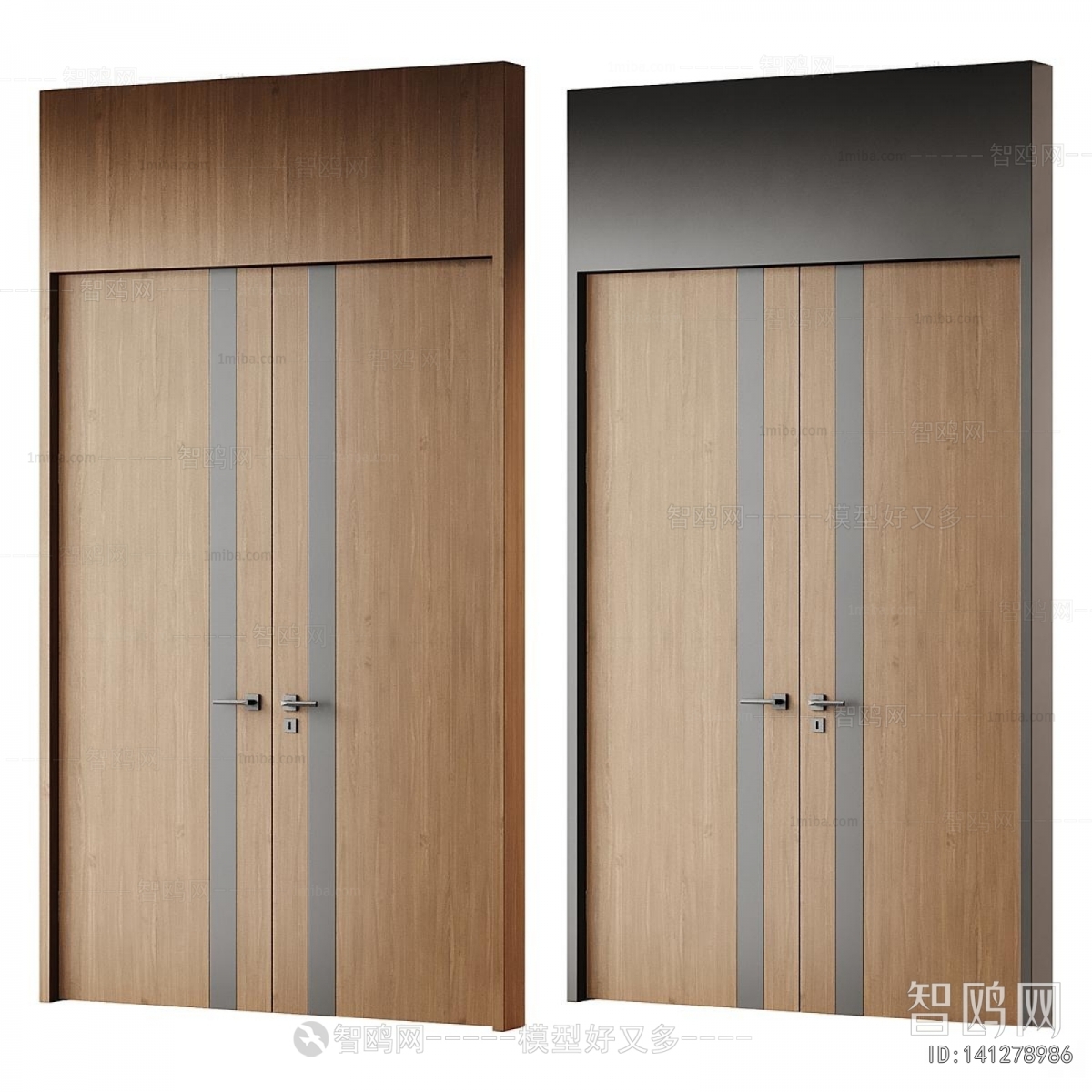 Modern Door