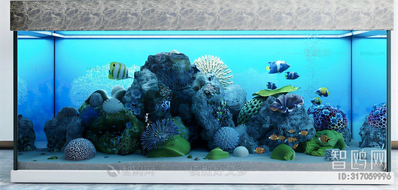 Modern Fish Tank
