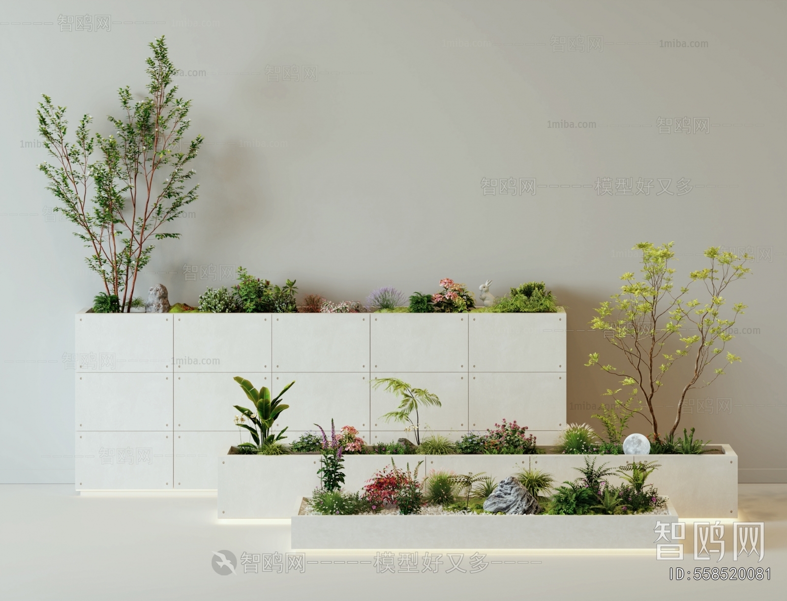 Modern Plant Landscaping