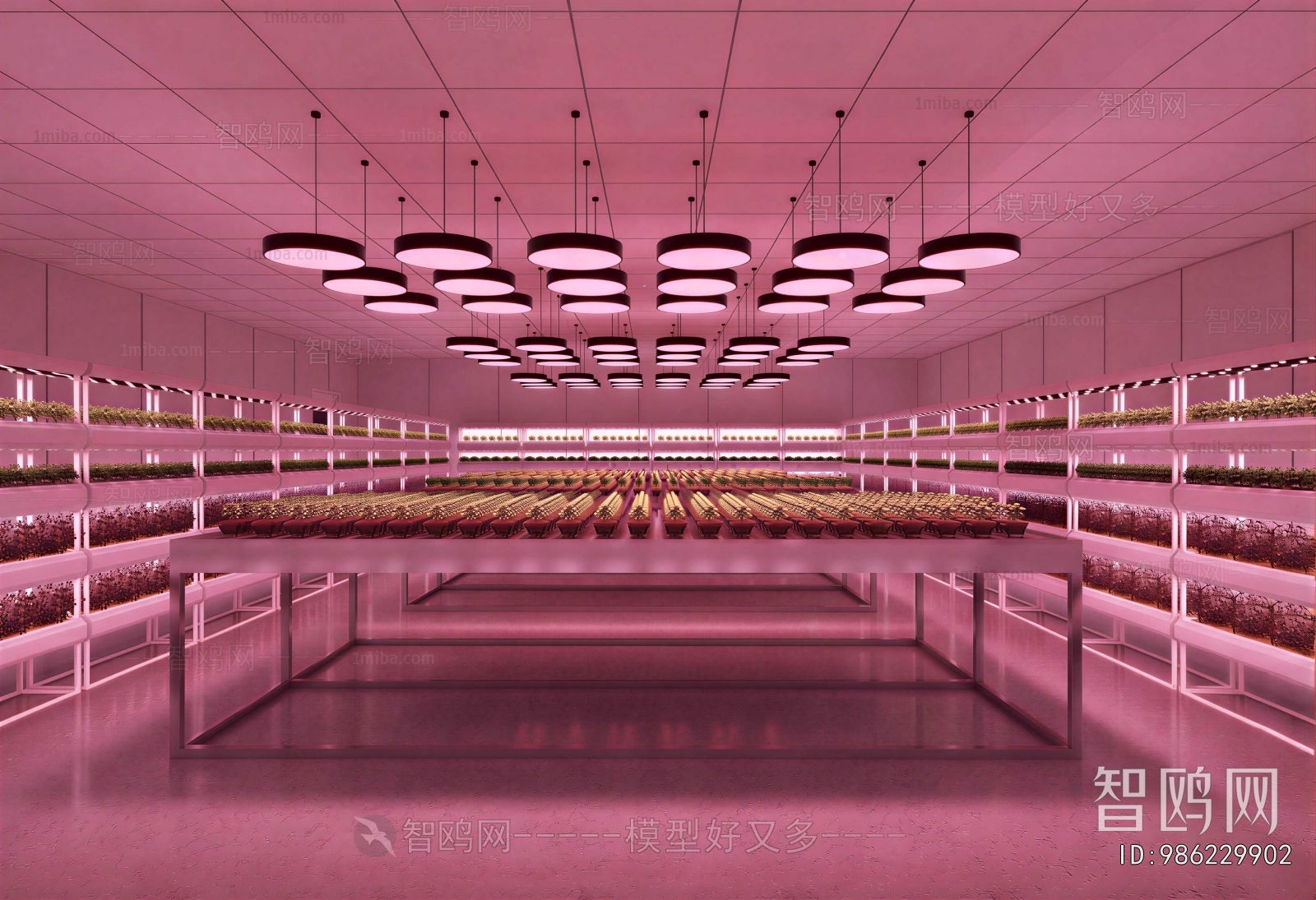 Modern Laboratory