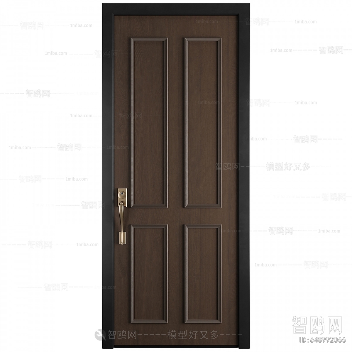 Modern Entrance Door
