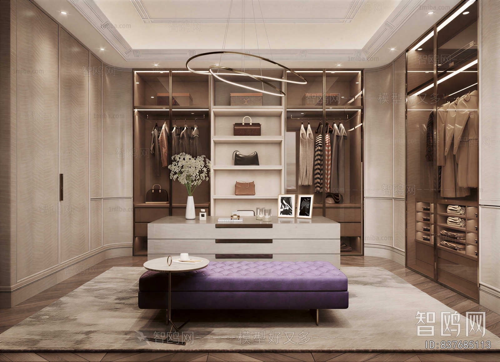 Modern Clothes Storage Area