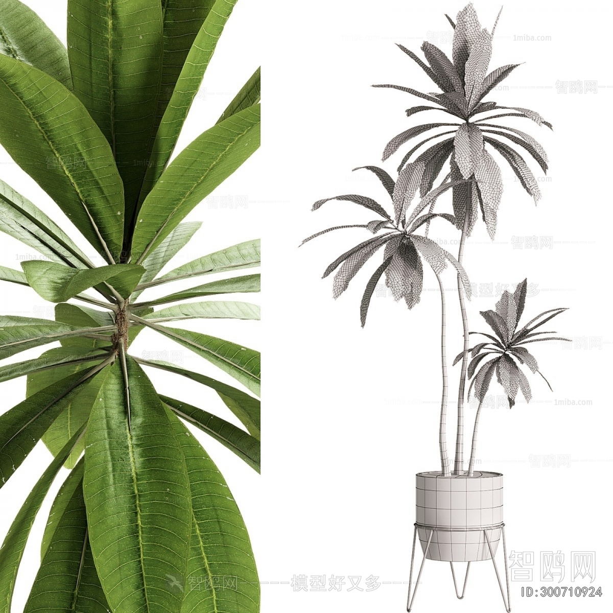 Modern Ground Green Plant Potted Plants