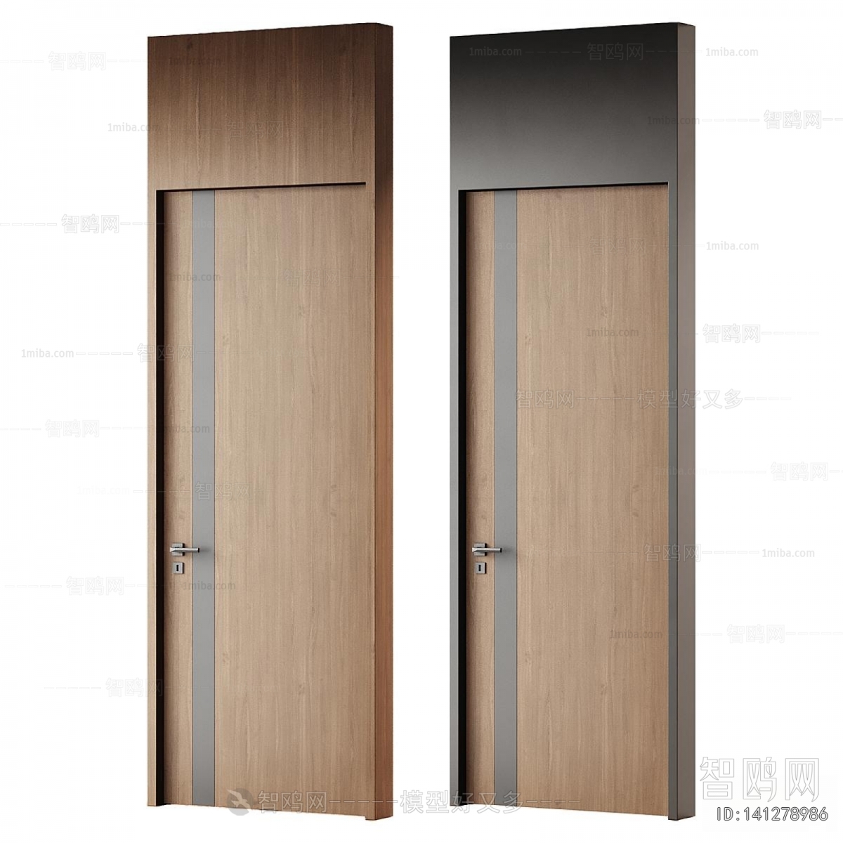 Modern Door