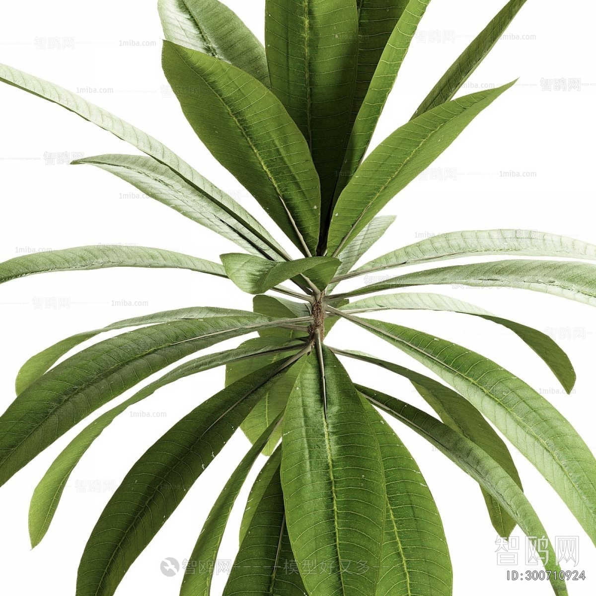 Modern Ground Green Plant Potted Plants