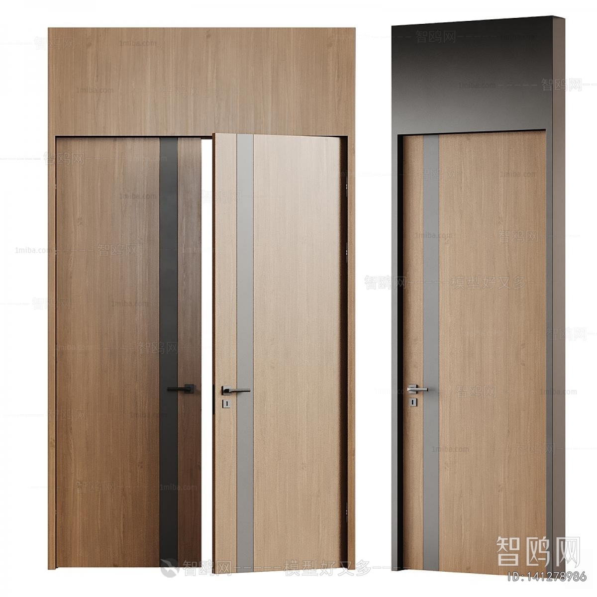 Modern Door