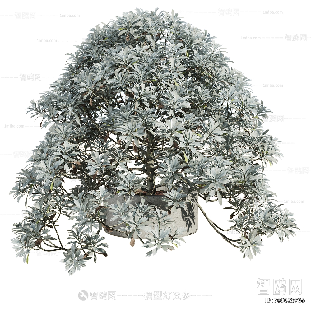 Modern Shrubbery