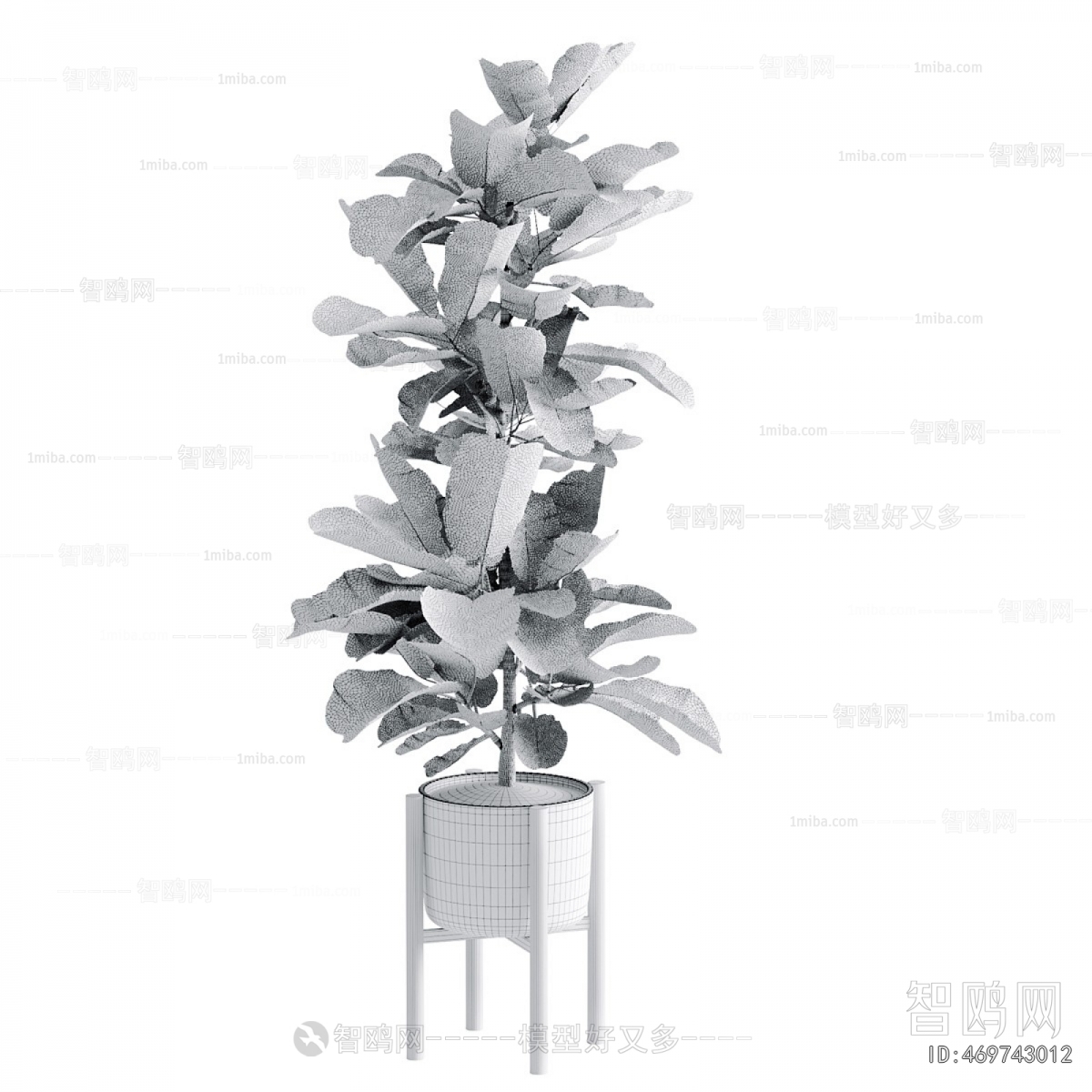 Modern Potted Green Plant