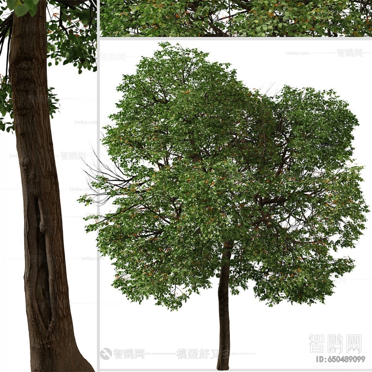Modern Tree