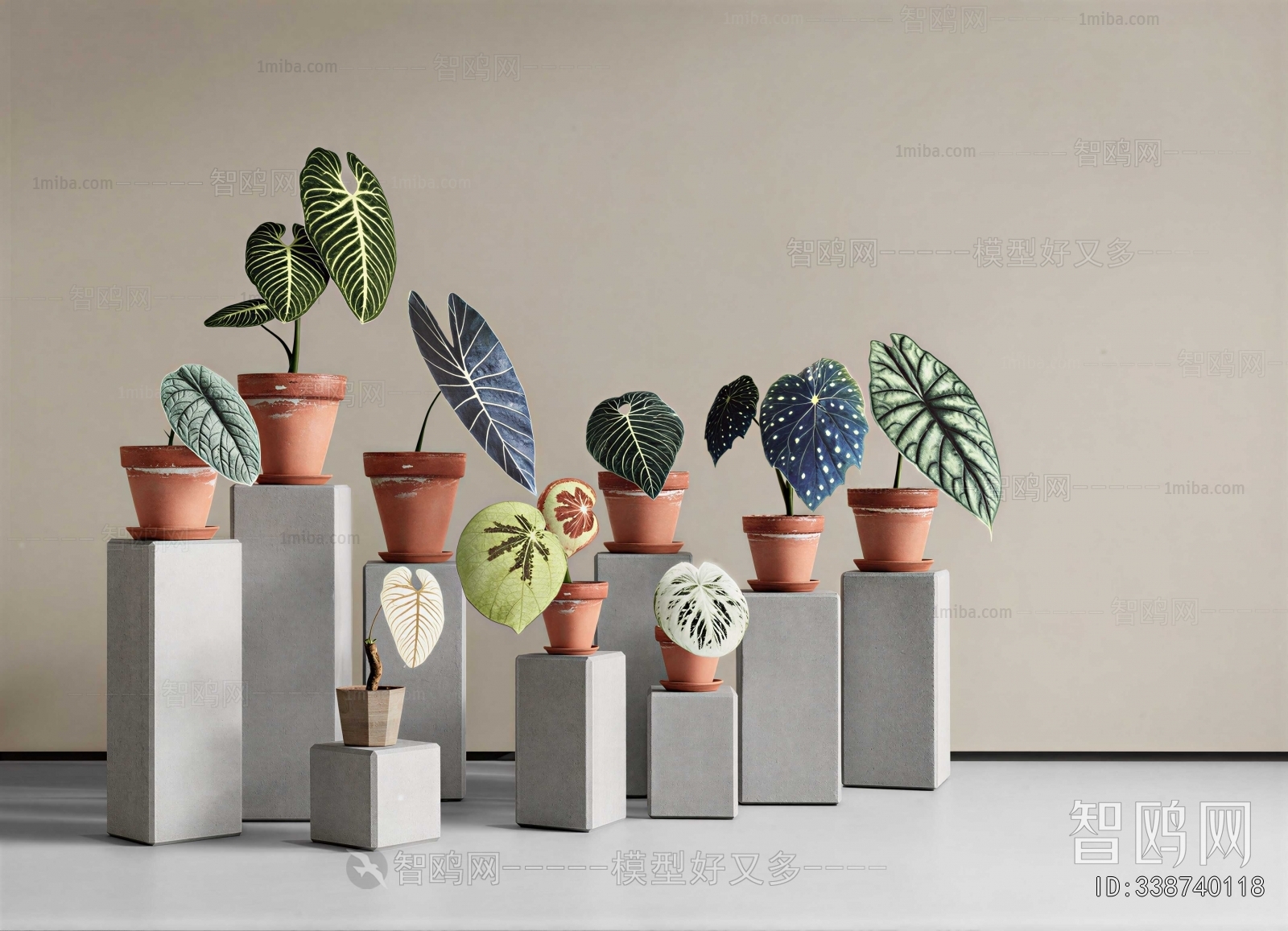 Modern Ground Green Plant Potted Plants
